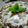 Shabbir Dalal's cooksnap of when they made Dahi Phulkiyan.