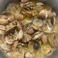 El cooksnap de mardlgd247 cuando hizo Almejas a la marinera.