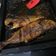 Cooksnap dari Ani Amanatun untuk resep Gurami panggang oven gurami bakar kecap