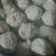 Cooksnap dari Yusnani Erwiyati untuk resep Bakso simple