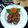 Cooksnap dari Nathasya's Kitchen untuk resep Sayap ayam pedas manis magic com #BikinRamadanBerkesan