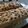 Cooksnap của Lê Hồ khi họ làm theo món Bánh hoa quả Giáng Sinh ( XMAS FRUIT CAKE)