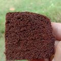 Cooksnap dari Dahlia Pane untuk resep Brownies kukus tepung beras (Gluten free and no food additives a