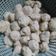 Cooksnap dari Berlian Soewandono untuk resep Bakso Ayam Homemade (versi kasar)