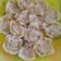Cooksnap dari bunda reygas untuk resep Dimsum Ayam