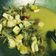 Cooksnap dari Lulu Qurratu Aini untuk resep Sayur tahu tauge santan