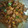 Kavya Rajkumar's cooksnap of when they made மட்டன் சுக்கா.