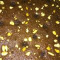 El cooksnap de Tere Ludueña cuando hizo Torta brownie húmeda de chocolate.