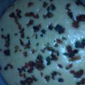 El cooksnap de Beverly Helem cuando hizo Torta sin huevos ni mantequilla.