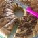 Cooksnap dari Ria Malango untuk resep Marmer Cake Jadul