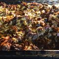 LaLa's cooksnap of when they made Mexican Meatloaf even kids LOVE.