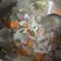 Cooksnap dari Isnawati Purwaningsih untuk resep Sayur sop sederhana