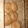 El cooksnap de Guillermo Araya cuando hizo Mini Galletas de chocolate con un huevo.
