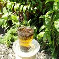 Cooksnap dari Ririn Wuriani untuk resep Sun Tea