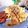 Cooksnap de Stef Fanny sur la recette Sauce forestière au Cook Expert