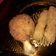 Cooksnap dari 89 Alifatu untuk resep Tempe Frozen