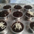 Cooksnap dari Fimaa untuk resep BROWNIES CUP LUMER (Brownis kw)
