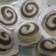 Cooksnap dari Chua untuk resep Mantou 饅頭 (Steamed Chinese Bun)