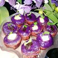 Cooksnap dari Lanjarsih/Mama Fifian ( MasakanRumahan) untuk resep Kue Lumpur Ubi Ungu