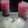 Cooksnap dari Vicky Ummu Zahra untuk resep Jelly de Coco