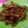 Cooksnap dari Litha DF untuk resep Ceker favorite! Pedas manis