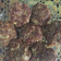 Cooksnap dari Herni untuk resep 26. Homemade Beef Patty