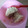 Cooksnap dari Amelia Safitri untuk resep Macaroni Schotel MPASI 1+ (tanpa susu)