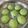 Cooksnap dari Tutik NLP untuk resep Bakpao kukus lembut anti gagal