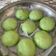 Cooksnap dari Tutik NLP untuk resep Bakpao kukus lembut anti gagal