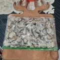کوک اسنپ parisa hajizadeh بعد از امتحان کردن روشهای نگهداری قارچ 🍄 Mushroom storage methods.