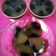 Cooksnap dari Ezra Kitchen untuk resep Puding cincau coffemix #siapramadan #berburucelemekemas