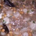 Cooksnap dari ersya azk untuk resep Soto Ayam Lobak