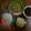 Cooksnap dari Novi Yanty untuk resep Nasi Lemak (Nasi Uduk) Harum dan Gurih #Dandelion