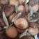 Cooksnap dari GinaNj untuk resep Oseng Telur Puyuh Jamur Kancing