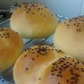 yayai's cooksnap of when they made Homemade Hamburger Buns.