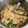 王琪 的 西紅柿雞蛋麵（ 含五辛蛋奶 ） cooksnap