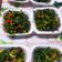 Cooksnap dari Siti Munawaroh untuk resep Tumis daun pepaya jepang (tidak pait)