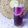 Cooksnap dari Puspitasari Anggradewi untuk resep Lemon Tea Butterfly Pea Flower
