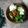 Cooksnap dari Cicik Ary untuk resep Ayam Penyet kemangi