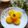 Cooksnap dari frida frida untuk resep #21- Puding Busa Nutrisari