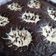 Cooksnap από dcroula στη συνταγή Cheesecake brownies