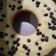 Cooksnap dari dania nheez untuk resep Bolu tape keju panggang takaran sendok