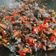 Cooksnap dari Siti Mutiara untuk resep Tumis Bekicot 002