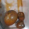 Cooksnap dari Utari untuk resep Telur Bacem aka Telur Gudeg
