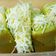 Cooksnap dari J Mom untuk resep Bolu pandan santan panggang