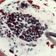 Cooksnap dari JinJin Gina Tendean untuk resep Bubur Ketan Hitam