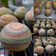 Cooksnap dari Retno Najikh untuk resep Moon cake/pia rainbow