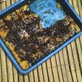 Cooksnap dari Sofiie Qurrotainy untuk resep Bolu Mangga