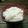 Cooksnap dari Cloudy Cloud untuk resep Kelapa muda kw