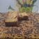 Cooksnap dari Syamsidar Ferry untuk resep Banana sponge cake moist